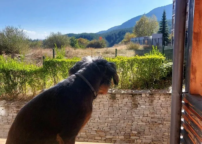 Apartament St. Ivan Sky And